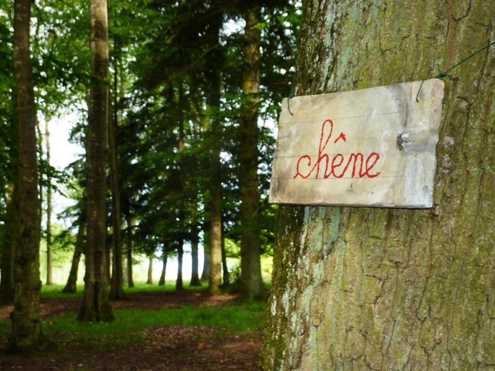 Chambres D'Hotes La Corne Aux Vaches Frétigney-et-Velloreille エクステリア 写真