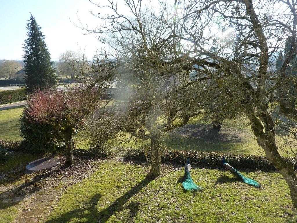 Chambres D'Hotes La Corne Aux Vaches Frétigney-et-Velloreille エクステリア 写真